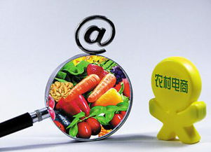 农村淘宝 日用品销售的下一个金矿